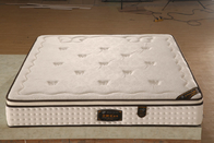 Latex Top Pocket Spring Mattress Knitted Fabric Back Support And Alignment